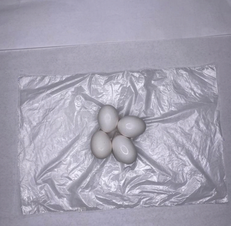 Eggs